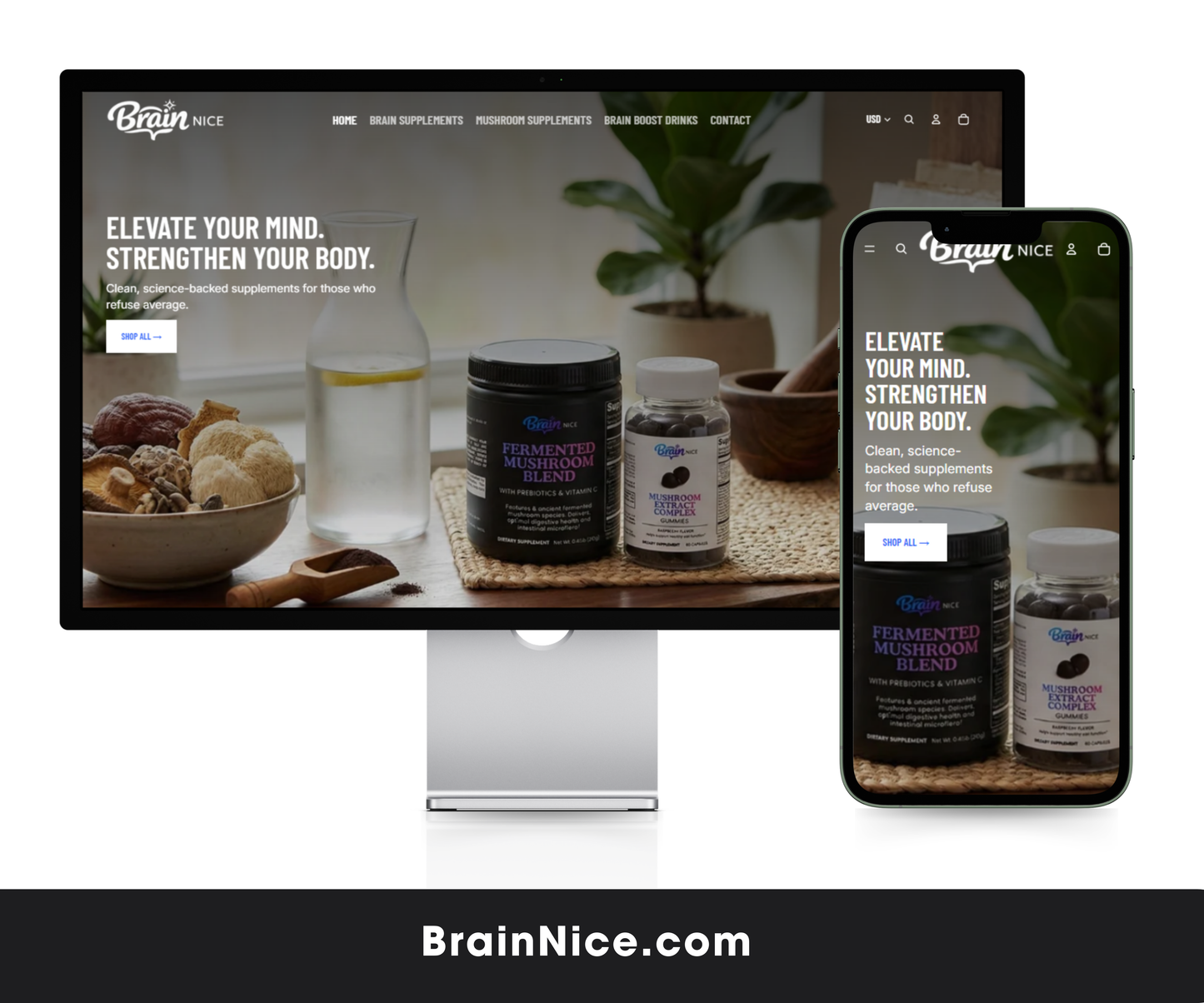 BrainNice.com